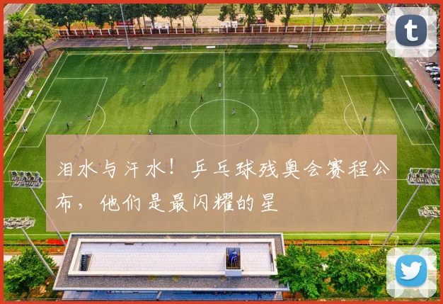 泪水与汗水！乒乓球残奥会赛程公布，他们是最闪耀的星